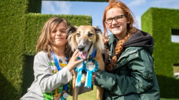 Enjoy DogFest 2023 with Entry Tickets for One or Two – Available in 7 Locations Nationwide for £16 Only!